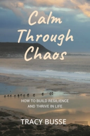 Calm Through Chaos