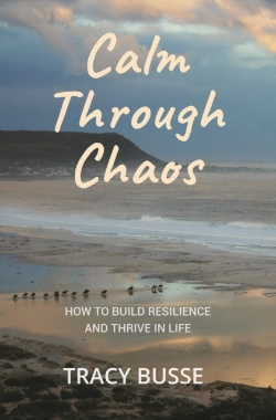 Bertrand.pt - Calm Through Chaos