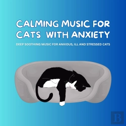 Bertrand.pt - Calming Music For Cats With Anxiety - Pet Music Therapy