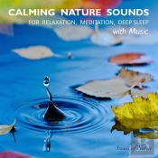 Calming Nature Sounds With Music: Sounds Of Nature For Relaxation, Meditation, Deep Sleep