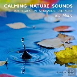 Bertrand.pt - Calming Nature Sounds With Music: Sounds Of Nature For Relaxation, Meditation, Deep Sleep