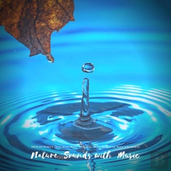 Bertrand.pt - Calming Nature Sounds With Relaxing Music