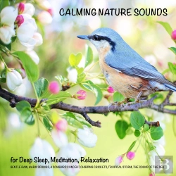 Bertrand.pt - Calming Nature Sounds (Without Music) For Deep Sleep, Meditation, Relaxation