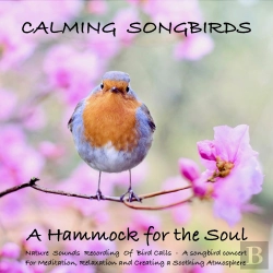 Bertrand.pt - Calming Songbirds: Nature Sounds Recording Of Bird Calls - A Songbird Concert For Meditation, Relaxation And Creating A Soothing Atmosphere