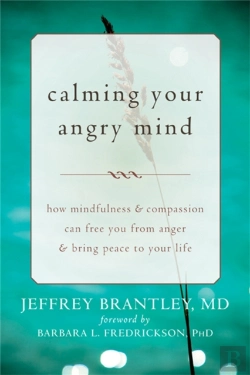Bertrand.pt - Calming Your Angry Mind