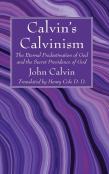 Calvin'S Calvinism