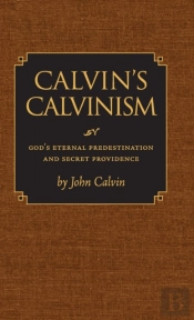 Calvin'S Calvinism