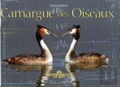 Camargue Des Oiseaux