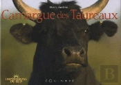 Camargue Des Taureaux