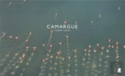 Bertrand.pt - Camargue