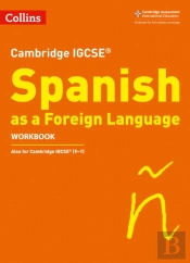 Cambridge Igcse (Tm) Spanish Workbook