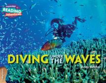 Cambridge Reading Adventures Diving Under The Waves 2 Wayfarers