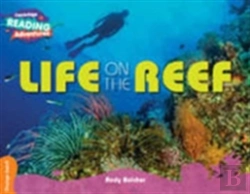 Bertrand.pt - Cambridge Reading Adventures Life On The Reef Orange Band