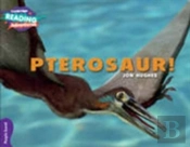 Cambridge Reading Adventures Pterosaur! Purple Band