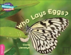 Bertrand.pt - Cambridge Reading Adventures Who Lays Eggs? Pink B Band