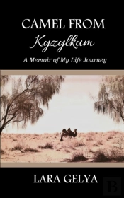 Camel From Kyzylkum