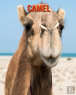Bertrand.pt - Camel
