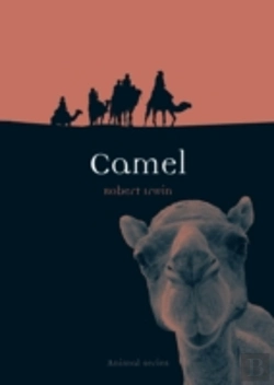 Bertrand.pt - Camel