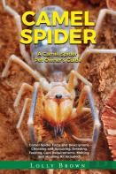 Camel Spider