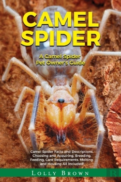 Bertrand.pt - Camel Spider