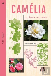 Camélia : Un Destin Universel