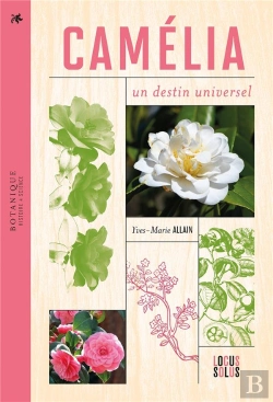 Bertrand.pt - Camélia : Un Destin Universel
