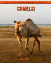 Camels! An Educational Children'S Book About Camels With Fun Facts