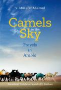 Camels In The Sky