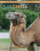Camels