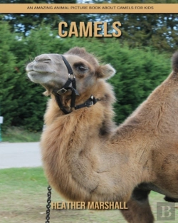 Bertrand.pt - Camels
