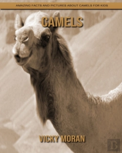 Bertrand.pt - Camels