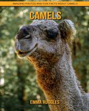 Camels