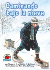 Caminando Bajo La Nieve (The Snow Walker)