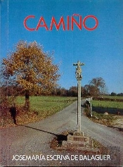 Camiño. (Camino En Gallego)