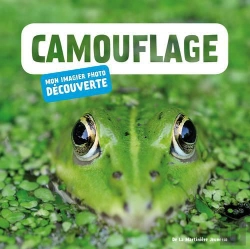 Bertrand.pt - Camouflage