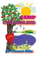 Camp Colorblind