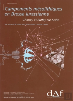 Bertrand.pt - Campements Mesolithiques En Bresse Jurassienne ; Choisey Et Ruffey-Sur-Seine
