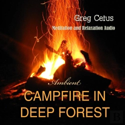 Bertrand.pt - Campfire In Deep Forest
