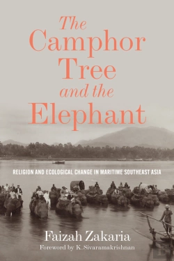 Bertrand.pt - Camphor Tree And The Elephant