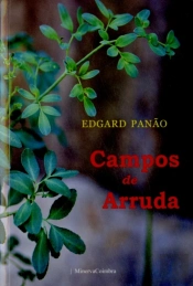 Campos de Arruda