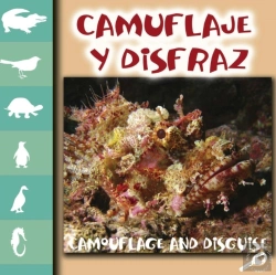 Bertrand.pt - Camuflaje Y Disfraces