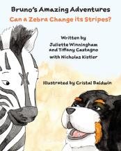 Can A Zebra Change Its Stripes?
