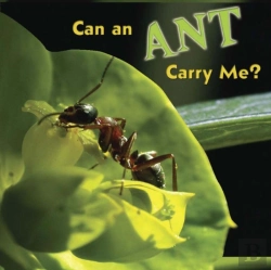 Bertrand.pt - Can An Ant Carry Me?