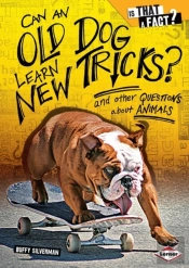 Can An Old Dog Learn New Tricks?