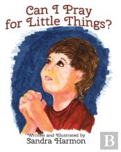 Can I Pray For Little Things?