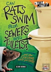 Can Rats Swim From Sewers Into Toilets?