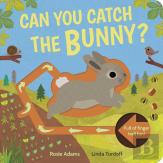 Can You Catch The Bunny?