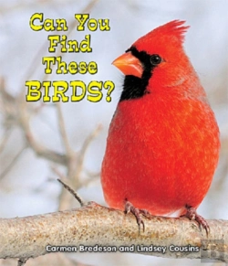 Bertrand.pt - Can You Find These Birds?