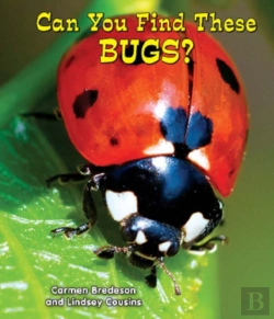Bertrand.pt - Can You Find These Bugs?