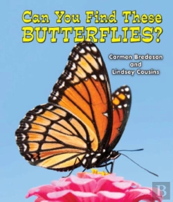 Bertrand.pt - Can You Find These Butterflies?
